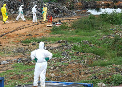 Scarico di rifiuti tossici in alcune aree di Abidjan, Costa d'Avorio.