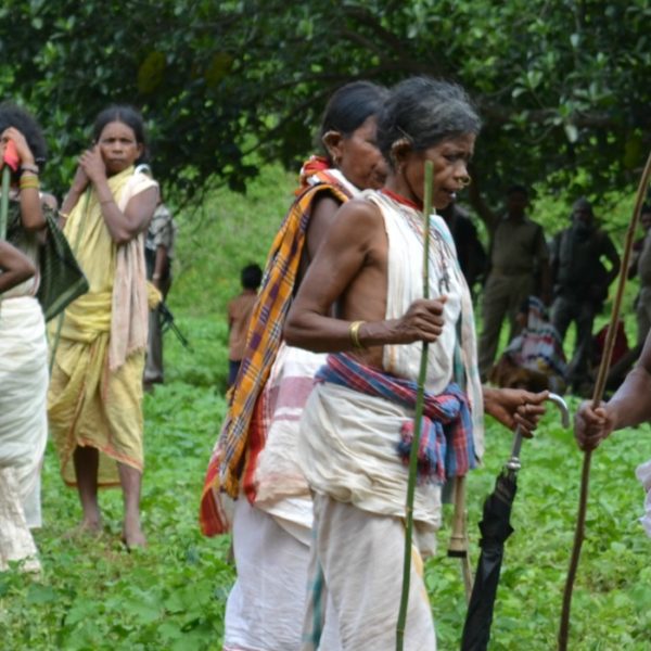 Donne della comunità nativa Dongria Kondh, India orientale