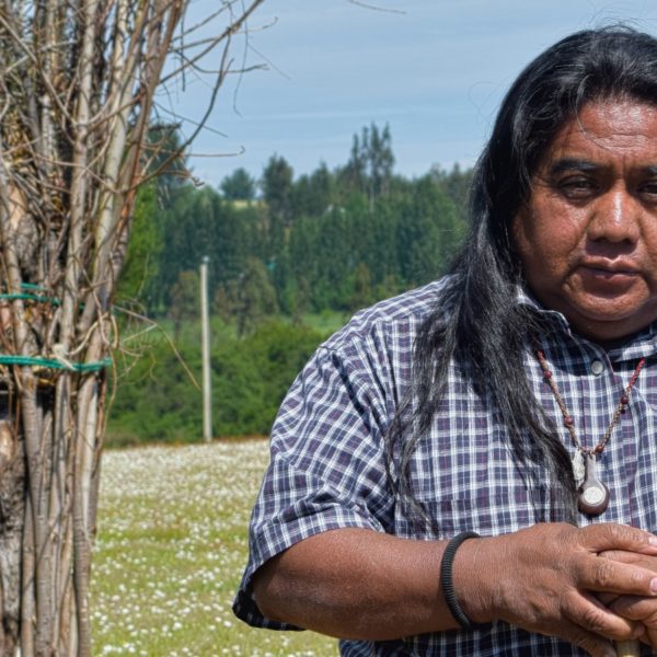 Chile Mapuche