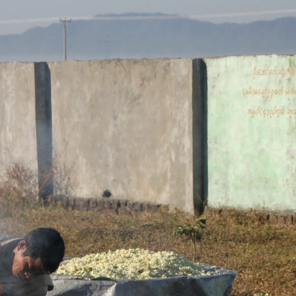 myanmar violazioni diritti umani rakhine