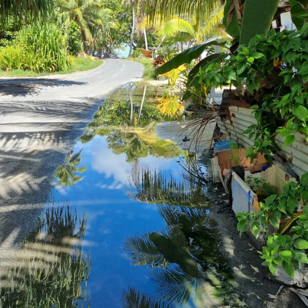 Acqua salata proveniente dal sottosuolo dell'atollo di Tuvalu, dove la popolazione di 11.000 persone sta sperimentando in prima persona gli effetti di un clima destabilizzato, tra cui colture alimentari avvelenate dall'acqua salata, erosione costiera, scarsità di acqua dolce, peggioramento delle maree e tempeste più violente. Gli abitanti di Tuvalu hanno bisogno di finanziamenti per il clima per poter rimanere dignitosamente sulle loro isole o, se la situazione dovesse peggiorare e dovessero decidere di andarsene, di percorsi umanitari per poter migrare con dignità.