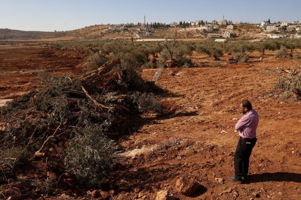 Un palestinese osserva degli ulivi che sarebbero stati sradicati dai soldati israeliani con un bulldozer nel villaggio di Al-Mughayyir, nella Cisgiordania occupata, a nord di Ramallah, il 24 agosto 2025. 