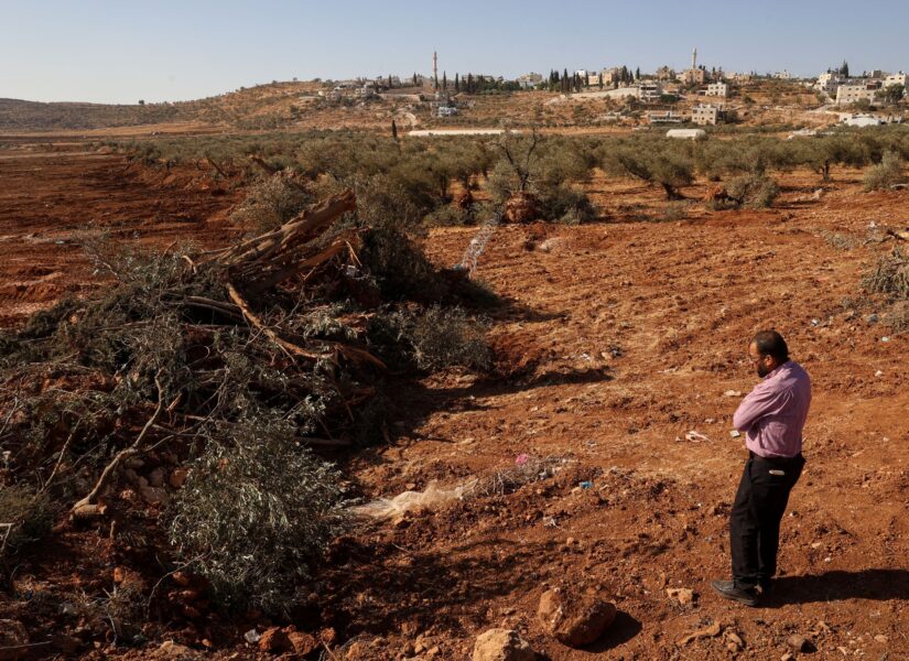 Un palestinese osserva degli ulivi che sarebbero stati sradicati dai soldati israeliani con un bulldozer nel villaggio di Al-Mughayyir, nella Cisgiordania occupata, a nord di Ramallah, il 24 agosto 2025.